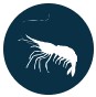 Prey Availability icon. The dry season prey concentrations project monitors the spatial patterns of aquatic fauna densities across the Everglades landscape.